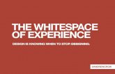 The Whitespace of Experience