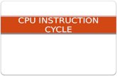 Cpu instruction cycle report