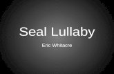 Seal lullaby