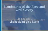 landmarks of face and oral cavity