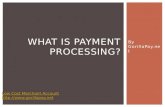 What is payment processing