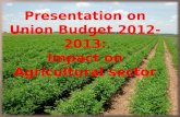 Union budget 2012 2013 ppt