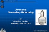 Ammonia Plant - Secondary Reforming