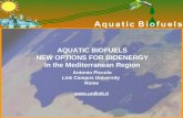 Aquatic Biofuels Emuni Presentation