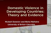 Domestic violence in developing countries