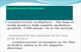 Counter current mechanism