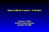 Stem Cells in Cancer:  A Review