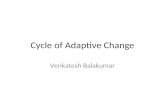 Cycle of adaptive change