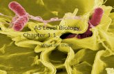 AS Level Biology - Pathogens