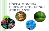 Unit 4: Monera, Protoctist, Fungi and Plants