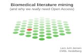 Biomedical literature mining (and why we really need open access)