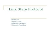 Link State Protocol