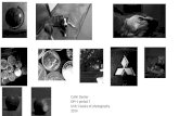 collin decker unit 1 photography basics