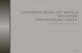 Guiness book of record