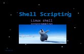 Shell Scripting in Linux