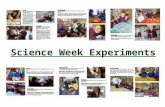 Science Week Experiments