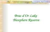 Bras D'or Lakes Biosphere Reserve