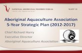 NAFF II - Panel industry case studies - AAA 5 year plan - Richard Harry