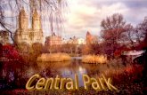 Central Park  Ny  Outono  Regi