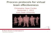 Process protocol for virtual team effectiveness
