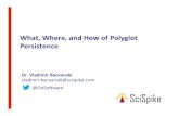 What, Where, and How of Polyglot Persistence