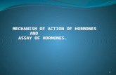 Mechanism of action of hormones (babajimi joseph b.i. et al)modified
