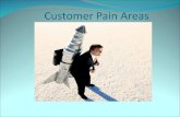 Customer pain areas1