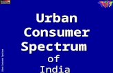 Indicus Consumer Spectrum - District Level