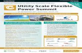 Utility Scale Flexible Power Summit Brochure