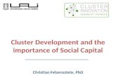 RFCD 2011: Christian Felzensztein: International Clusters & Social Capital