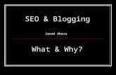 Seo & Blogging - What and Why?