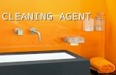 Cleaning Agents - Housekeeping (Llawlietwife)