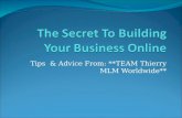 Tips & Advice**Team Thierry** On The secret To Building Your Business Online