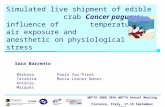 Simulated live shipment of edible crab Cancer pagurus: influence of       temperature, air exposure and anesthetic on physiological  stress.