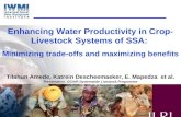 Enhancing Water Productivity in Crop-Livestock Systems of SSA:  Minimizing trade-offs and maximizing benefits