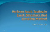 Perform audit testing in excel: Monetary Unit Sampling Method