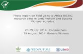 Photo report on field visits to Africa RISING research sites in Endamehoni and Basona Worena woredas—28-29 July 2014 (Endamehoni) and 29 August 2014 (Basona Worena)