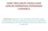 How trx2 helps tackle hair loss by improving potassium channels