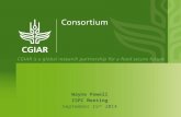 Report of Consortium CSO - Wayne Powell