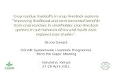 Crop residue tradeoffs in crop-livestock systems - Improving livelihood and environmental benefits from crop residues in smallholder crop-livestock systems in sub-Saharan Africa and