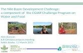 The Nile Basin Development Challenge: A component of  the CGIAR Challenge Program on Water and Food