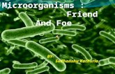 Microorganisms (3) (2)