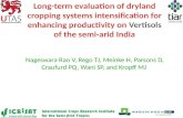 Long-term evaluation of dryland cropping systems intensification for enhancing productivity on Vertisols of the semi-arid India. V Nageswara Rao