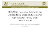 ReSAKSS Regional Analysis on Agricultural Expenditures and Agricultural Policy Bias: Africa Wide_2009