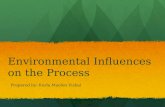 Environmental Influences on the Process
