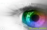 Vision project Sara Gaviria STSU 1100-003