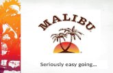Malibu usp 3