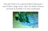 The history about a little puppy