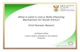 What is, and is not, a skills planning mechanism - Prof Hoosen Rasool
