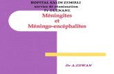 Méningites et meningoencephalite